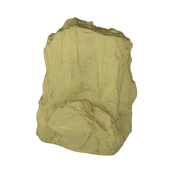 Tiger Decor - Picture 5 of 8